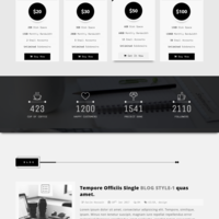 Black Port - Premium HTML template