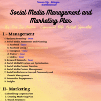 My SMM Plan Project