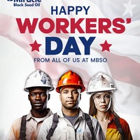 Portfolio Thumbnail 3