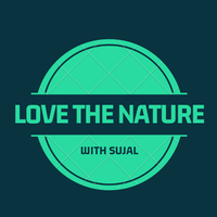 Created logo nature based channel