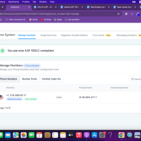 A2P 10DLC Registration Expert