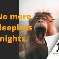 Portfolio Thumbnail 18