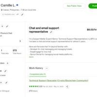 Technical Support Specialist via Upwork