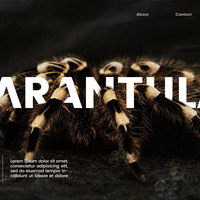 Portfolio Thumbnail 1