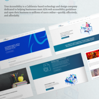 Wordpress website development
