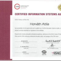CISA Certification