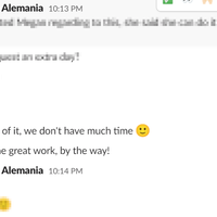 Feedback from the Client