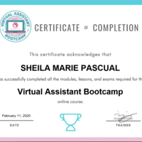 VAB Certificate