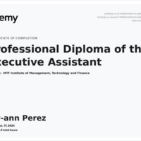PROFESSIONAL DIPLOMA OF THE EXECUTIVE ASSISTANT