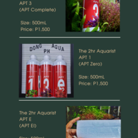 Social Media Graphic Design using Canva