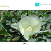 Kamil Farid Group website