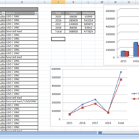 Consolidated performance report
