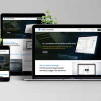 Asset Vantage (WordPress)