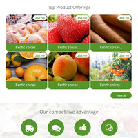 Food webite design