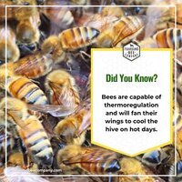 Portfolio Thumbnail 14