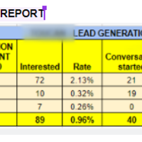 Campaign Performance Report