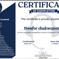 IT Support Certificate