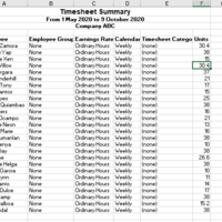 Timesheet Summary Report in Xero