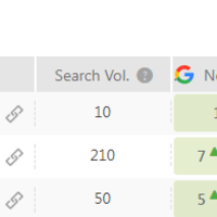 1st page rank