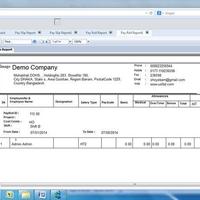 ERP Software - Crystal Report Development