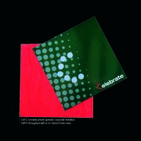 Portfolio Thumbnail 4