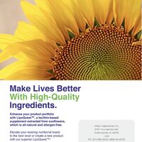 Creative Strategy / Design / Copy