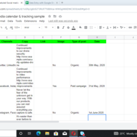 Social Media Calendar & Tracking 
