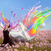 Colors 23