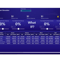 Financial Simulator