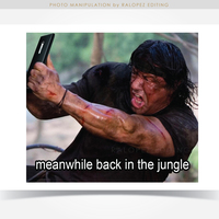 Portfolio Thumbnail 33