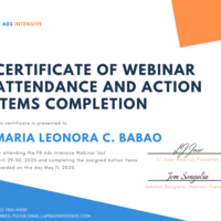 FB Ads Intensive Webinar