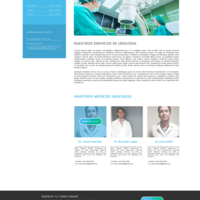 Web Design-Development (wordpress)