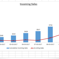 Excel Dashboards