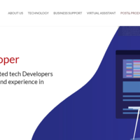 Website Design and Development
