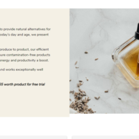 Landing  Page - Karavie