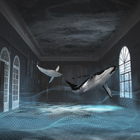 Portfolio Thumbnail 5