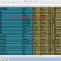 Data Entry data-entry