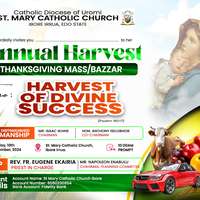 Portfolio Thumbnail 2