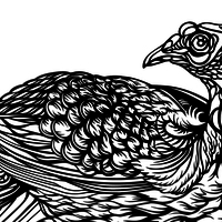 Portfolio Thumbnail 17