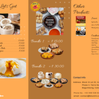 Trifold Brochure (sheet 2)