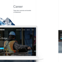 Blue Ridge Mountain Resources