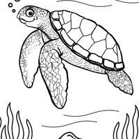 Portfolio Thumbnail 7