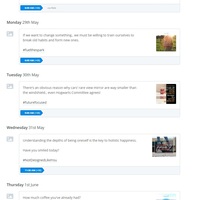 Social Media Management - Scheduled Posts