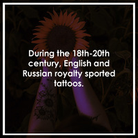 Tattoo Trivia Graphic