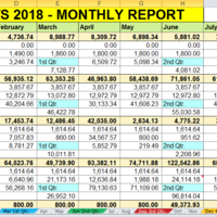 BIR Payment Report 