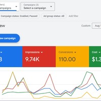 Google Ads Campaigns Optimise with best conversion rate.