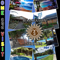Activity Project