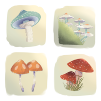 Portfolio Thumbnail 0