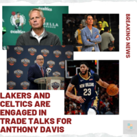 Portfolio Thumbnail 15