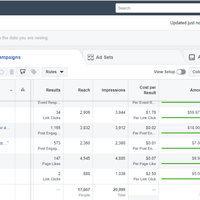 Facebook PPC Results 